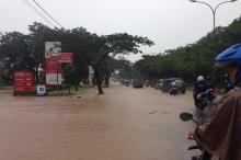 Sejumlah Ruas Jalan di Batam Terendam Banjir dan Pohon Tumbang